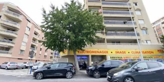 A Nice, un arbre qui sent « le vomi » fait pester les riverains