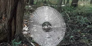 Un randonneur tombe sur une impressionnante toile d'araignée dans le Missouri