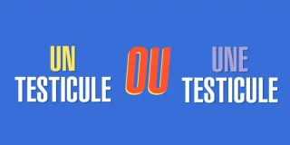Féminin, masculin ? 18 mots français dont