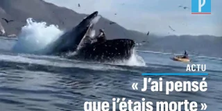 VIDÃO. Etats-Unis : deux kayakistes «avalées» par une baleine
