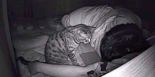 Il installe une caméra dans sa chambre et fait une étrange découverte sur son chat...