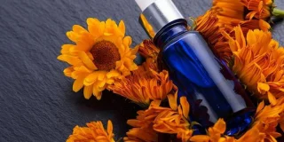 Toutes les vertus (méconnues) de l'arnica