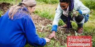 Wwoofing et droit du travail : un terrain en friche
