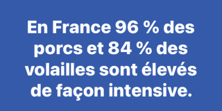 Elevage intensif en France - Sénat