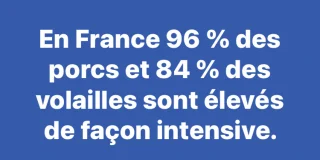 Elevage intensif en France - Sénat
