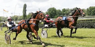 Courses hippiques