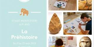 Stage 6/9 ans : la préhistoire Coup de pousse Montessori