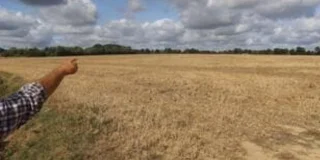 Plusieurs milliers de teufeurs attendus pour une grande fête techno près de Cholet