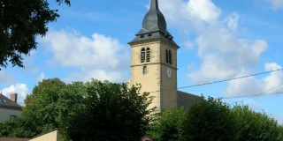 Les Layons de Cernusson - Randonnées pédestres à CERNUSSON