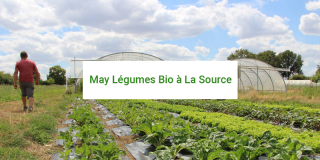 Producteur de légumes Cholet - May Légumes bio