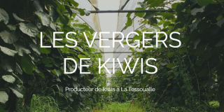 Producteurs et Vendeurs de Kiwis | Les Vergers de Kiwis | 49280 La Tessoualle