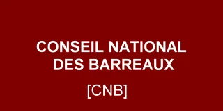 Dispositions sur la publicité par Internet