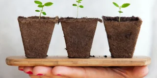 Raveenala : Nouveaux coffrets de jardinage disponibles !