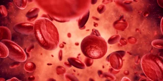 Quel est le rôle du fer pour notre corps et notre santé ?