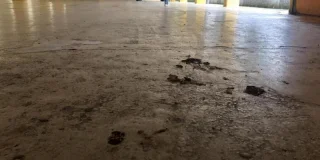 Excréments, tags obscènes, tarifs de la drogue : ce parking souterrain à Cholet est dégueulasse