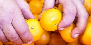 Le don de produits | Banques Alimentaires