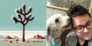 Palmsy : l'application IOS qui veut vous procurer un véritable bien-être à partir d'interactions virtuelles