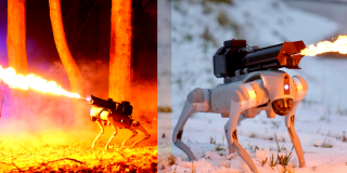 Thermonator : Un chien-robot équipé d'un lance-flamme - Ariel World
