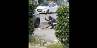 Évreux : Un homme filmé découpant un chat à la hache à même le sol - Ariel World