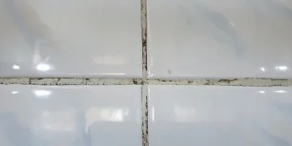 Dites adieu aux moisissures dans la salle de bain en utilisant simplement... une bougie (c'est hyper efficace)