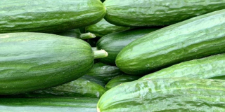 Quels sont les bienfaits du concombre ?
