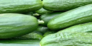 Quels sont les bienfaits du concombre ?