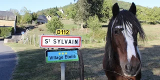 4 mai : c’est la Saint Sylvain et c'est bien 😉