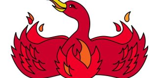 5 juin 2002 : Mozilla Firefox fait son apparition mais pas sous ce nom