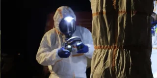 Cas de dengue à La Séguinière : pour tuer les moustiques, un insecticide a été pulvérisé en pleine nuit