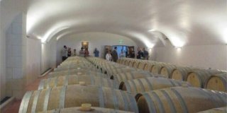 Cléré sur Layon : Le domaine du Petit-Clocher s'ouvre au public