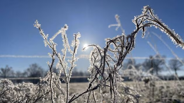Du gel attendu sur une large partie de la France jusqu'à fin avril, des craintes pour la végétation