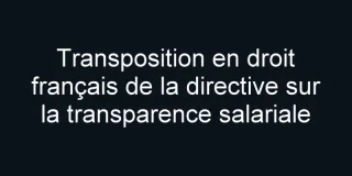 Employeurs : comment anticiper la transposition en droit français de la directive sur la transparence salariale ?