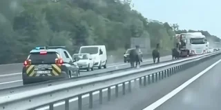 Insolite : rodéo improvisé, des chevaux sèment la zizanie sur une autoroute en Bretagne