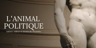 L’animal politique, Thibault Le Moal