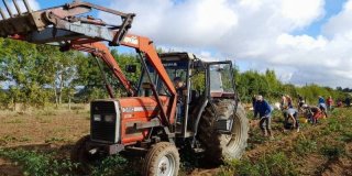 La Séguinière. Des pommes de terre solidaires du Burkina Faso | Courrier de l'Ouest