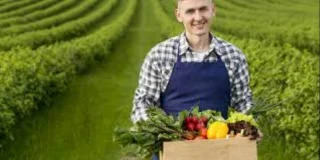 Mentions légales obligatoires pour les agriculteurs qui vendent en ligne