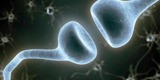 Nos souvenirs sont stockés en trois exemplaires, révèlent des chercheurs de l'Université de Bâle - Le Temps