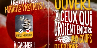 Quatre visuels, un même procédé : associer l'alcool à la fête, à la célébration et au jeu