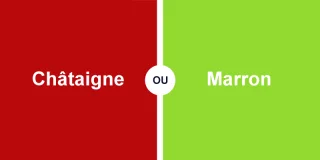 Quelle différence entre châtaigne et marron ?