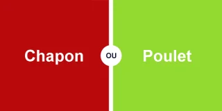 Quelle différence entre le poulet et le chapon ?