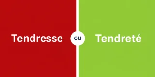 Quelle différence entre tendresse et tendreté
