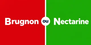 Quelle est la différence entre brugnon et nectarine ?