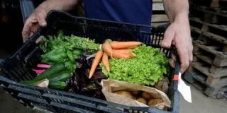 Une sécurité sociale alimentaire bientôt testée à Cholet ?