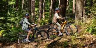Vélo électrique Cholet : SUV élec. – Gazelle Medeo T9/T10