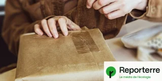 Vêtements d'occasion : acheter sur internet émet jusqu’à 5 fois plus de CO2 qu’en boutique