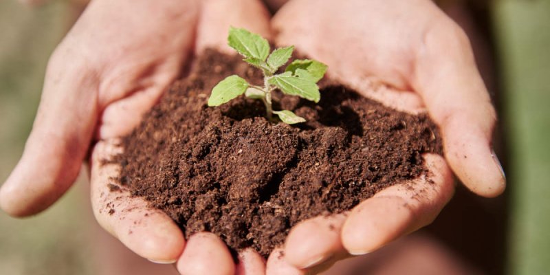 Un système alimentaire durable qui permettra aux agriculteurs de bien vivre