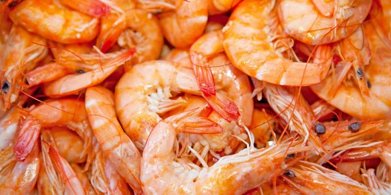Un virus aquatique contamine l'Homme pour la première fois : maladie, symptômes… ce que l'on sait de cette découverte