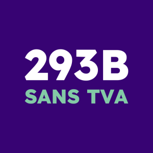 293B